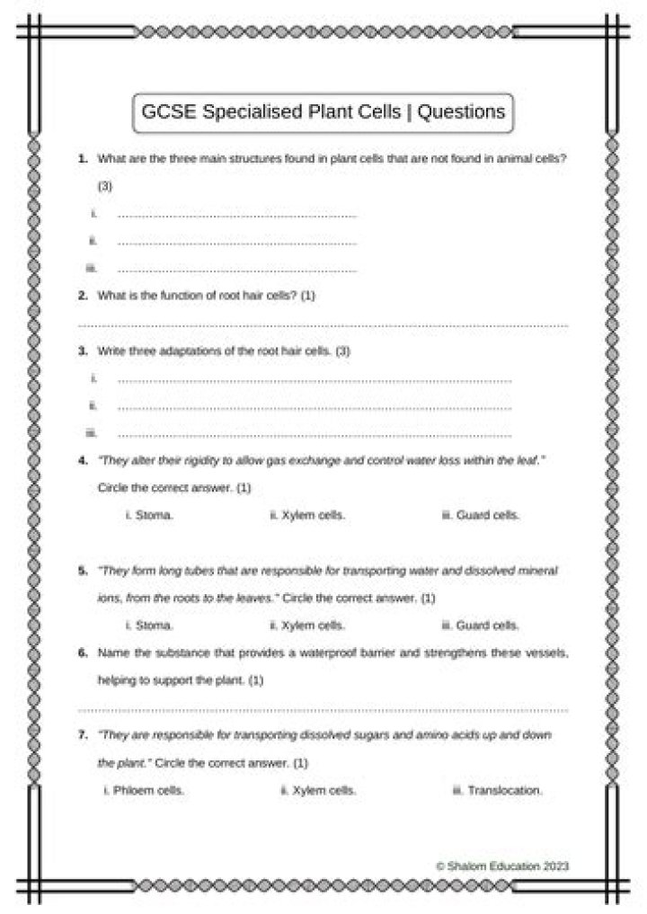 Plant Cell Questions and Answers: Expert PDF Guide