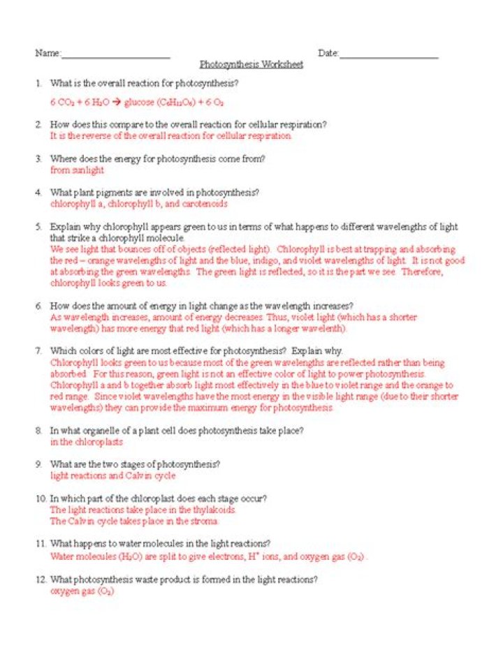 Plant Hormones Pogil Answers PDF: Complete Study Guide & Answers