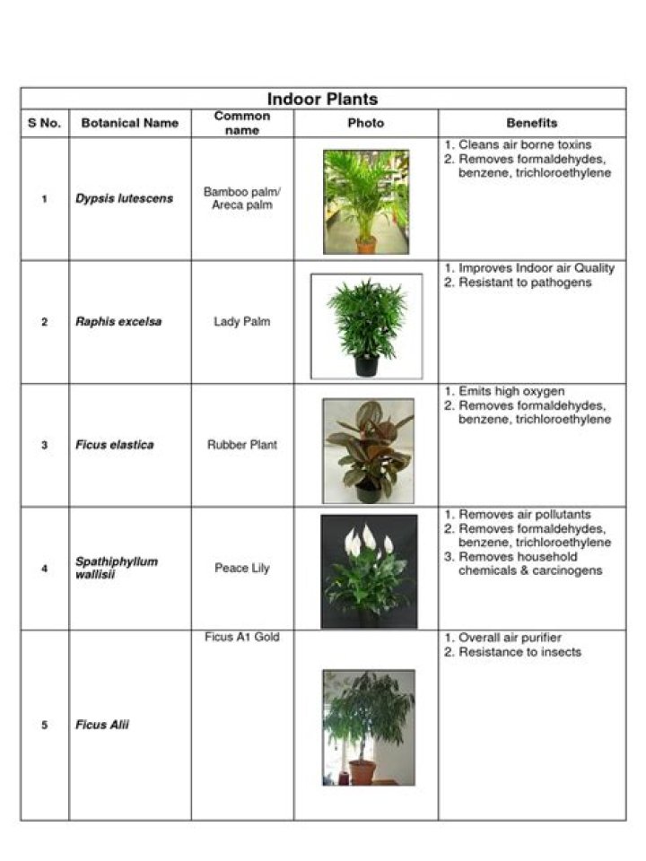 Free Plant List PDF: Grow Any Garden with Ease