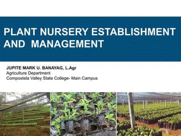 Essential Plant Nursery Management PDF Guide