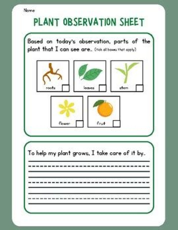 Download Free Plant Observation Sheet PDF for Accurate Gardening Notes