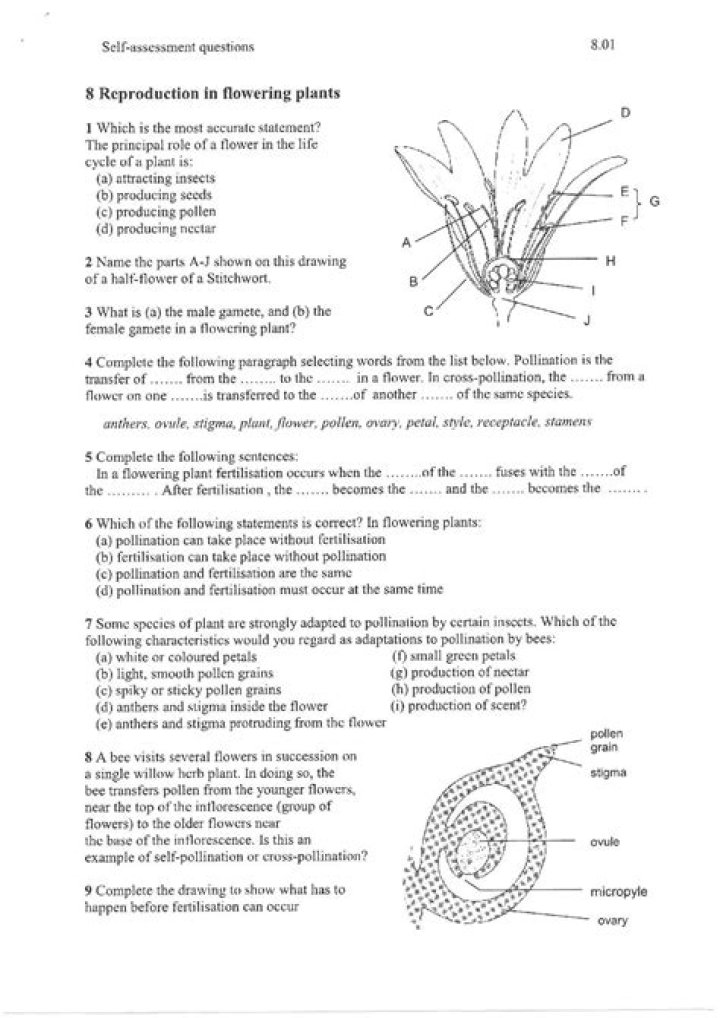 Plant Reproduction Questions & Answers PDF – Expert Guide