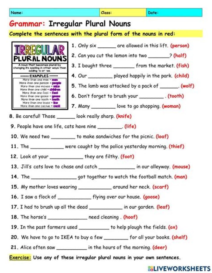 Plural Nouns PDF Worksheet for Easy Practice