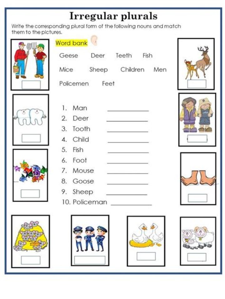 Plurals in Spanish Worksheet PDF – Perfect Practice for Learners