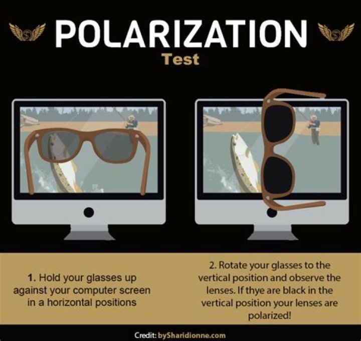 Test Your Polarized Sunglasses with Real-World Test Pictures – PDF