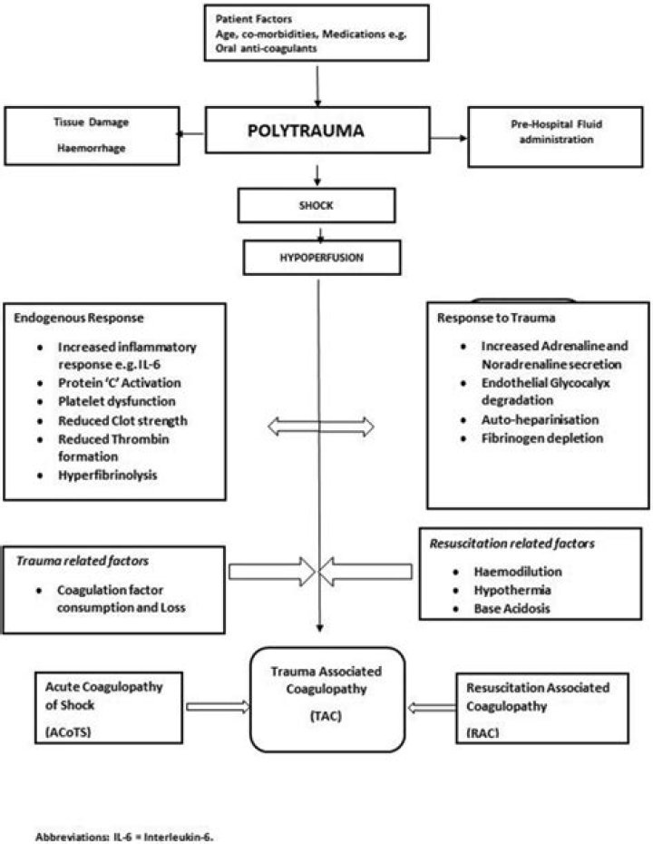 Polytrauma Management PDF: Essential Guidelines for Trauma Care