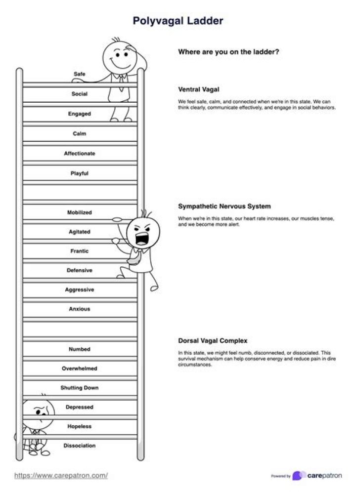 Free Polyvagal Therapy Worksheets PDF – Practical Tools for Nervous System Regulation