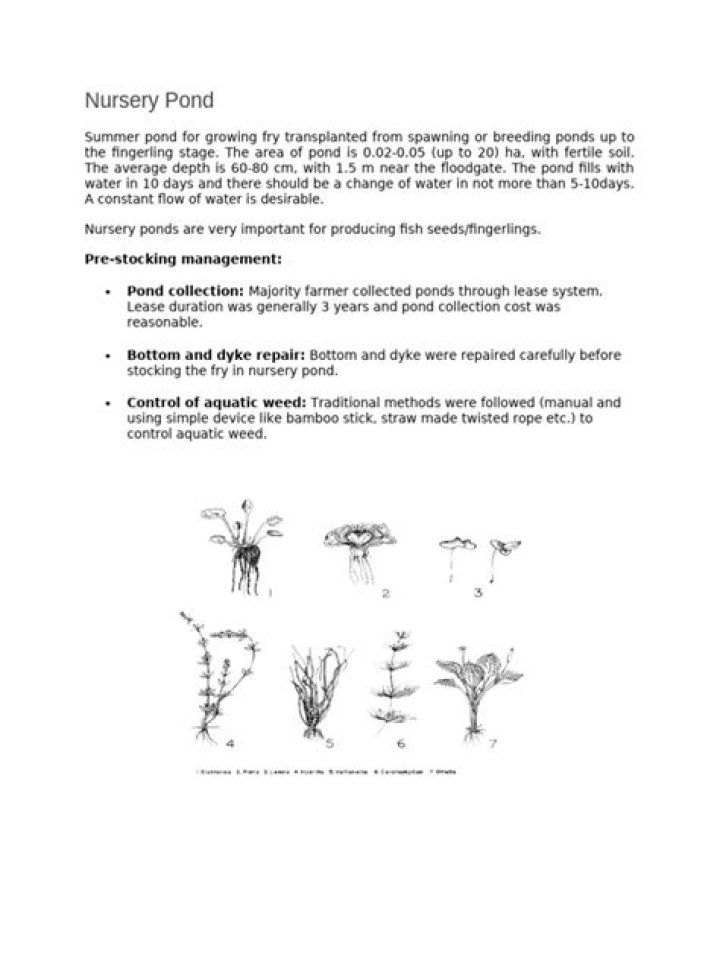 Essential Pond Management PDF Guide for Healthy Water Bodies