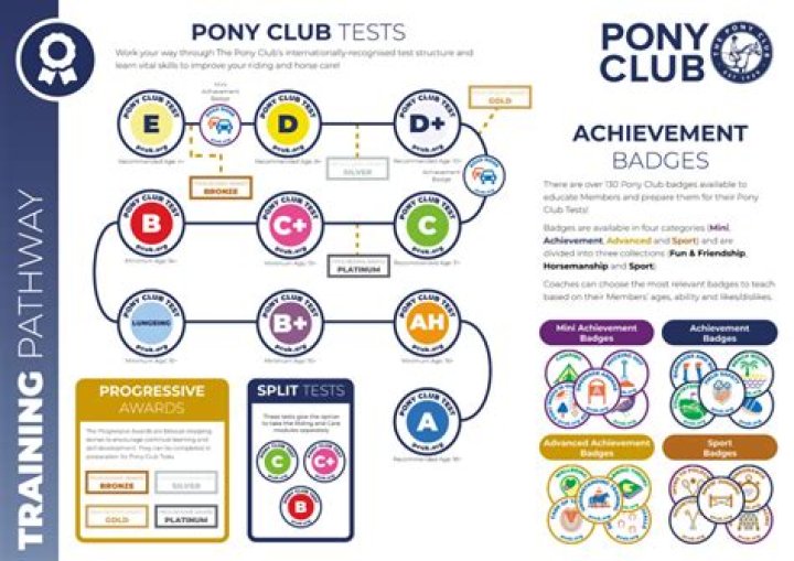 Pony Club D Test Syllabus PDF Download – Free Exam Guide