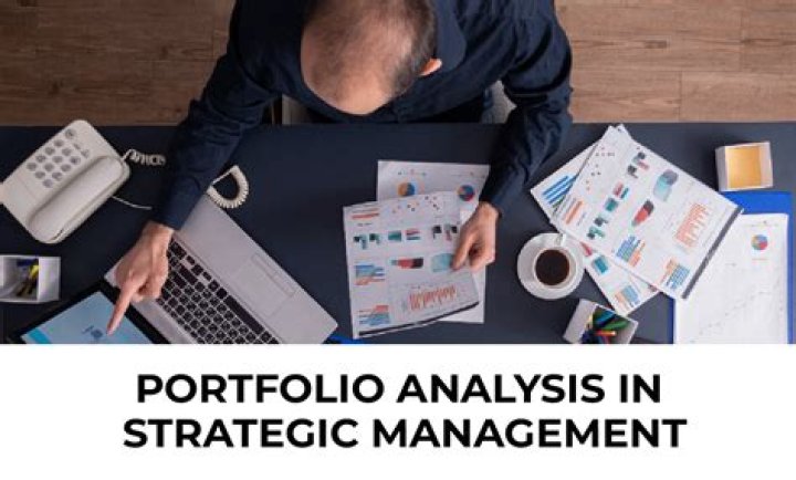 Portfolio Analysis in Strategic Management: A Complete PDF Guide