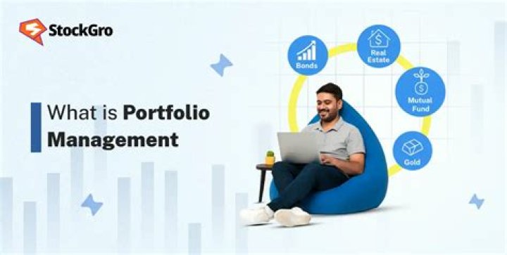 Master Portfolio Management: Essential Articles PDF Guide