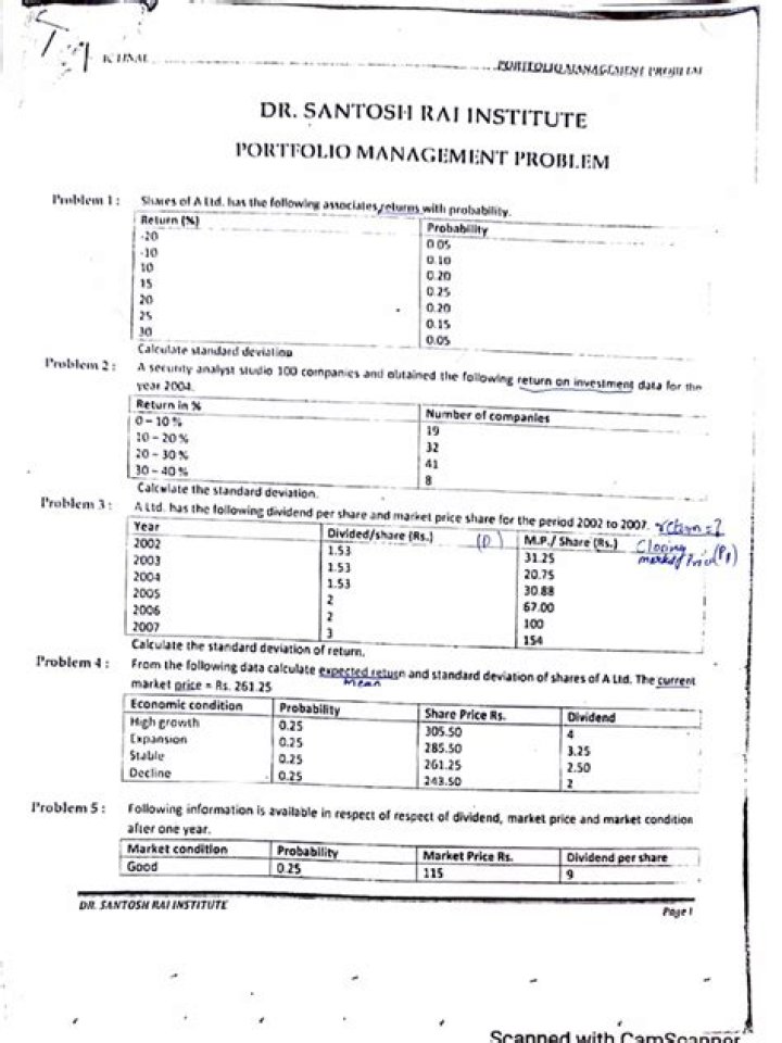 Solving Portfolio Management Problems: Expert PDF Solutions