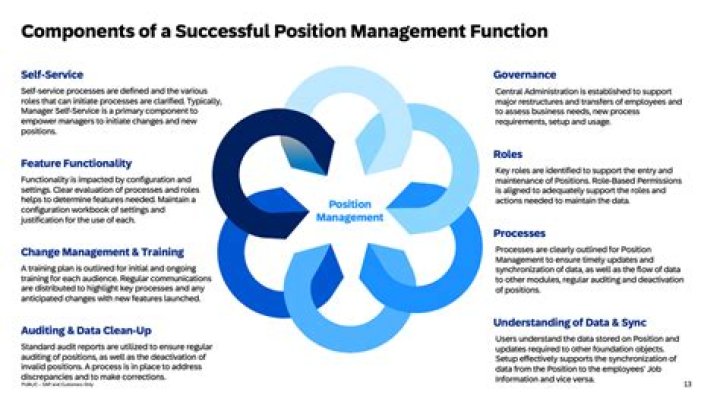 Mastering Position Management in SuccessFactors PDF