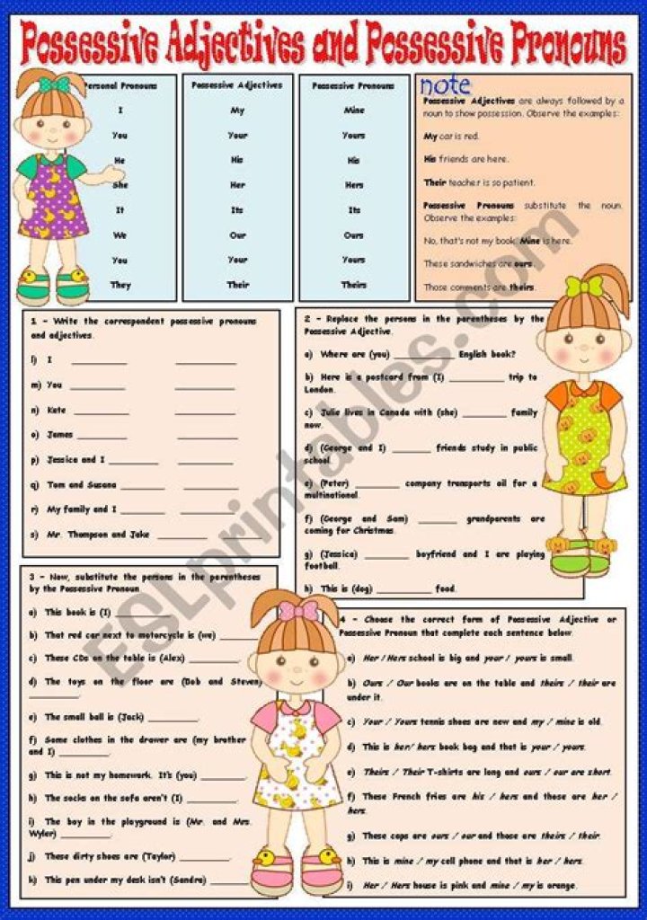 Free Possessive Pronoun and Possessive Adjective Worksheet PDF – Instant Download