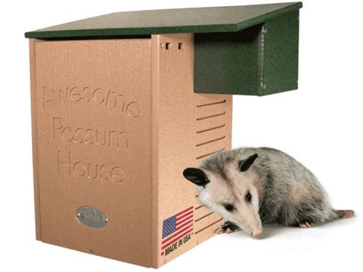 Free Possum Box Plans PDF for Safe Wildlife Shelter