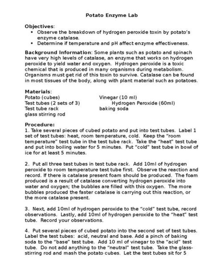Potato Bubbles: Enzymes Lab Answer Key PDF – Step-by-Step Intro