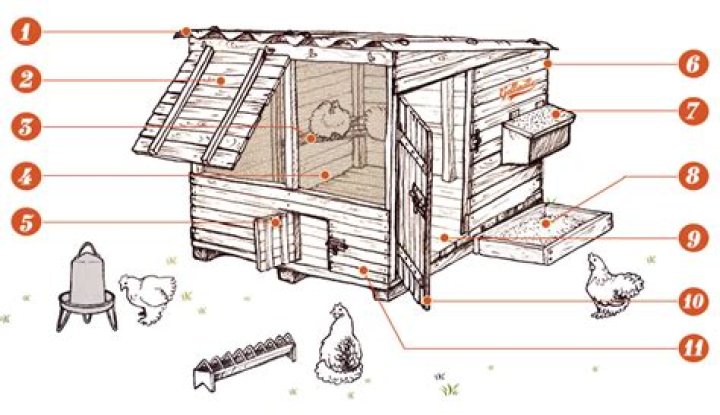 Poulailler Plan PDF: Complete Design & Construction Guide