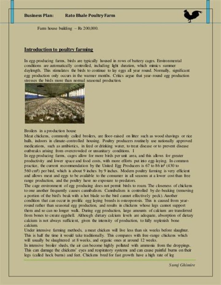 Poultry Business Plan PDF South Africa: Step-by-Step Guide
