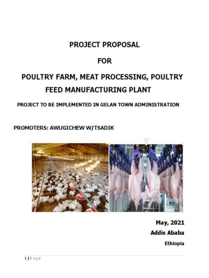 Poultry Farm Business Plan in Ethiopia PDF – Complete Guide