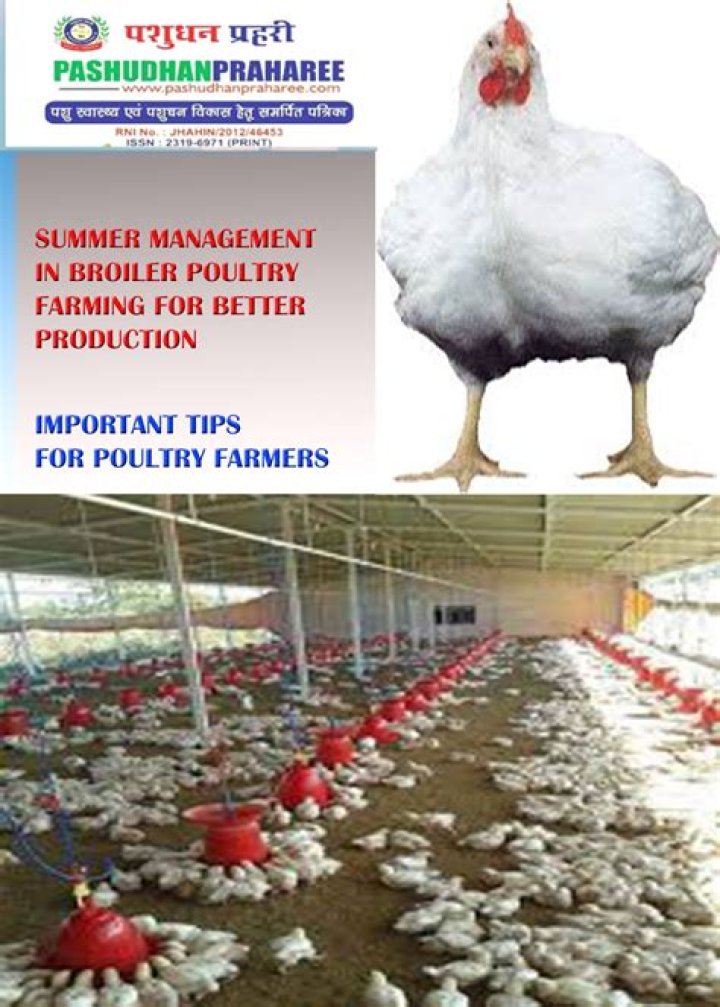 Comprehensive Poultry Farm Management PDF Guide