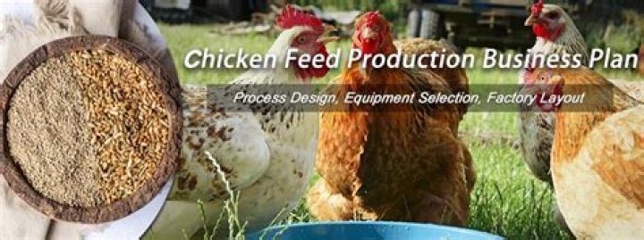 Poultry Feed Production Business Plan PDF: Step-by-Step Guide