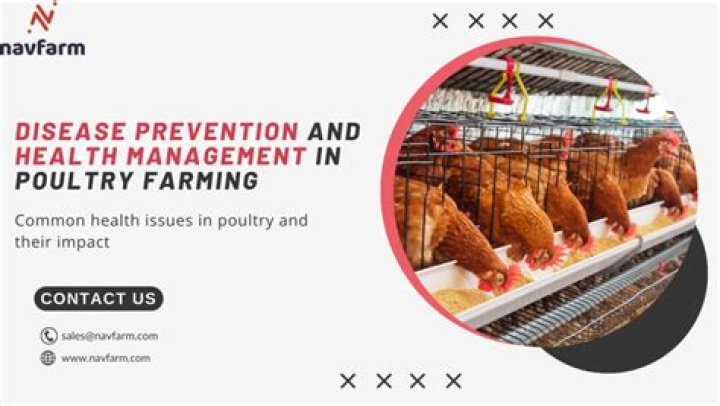 Poultry Health and Disease Management PDF Guide