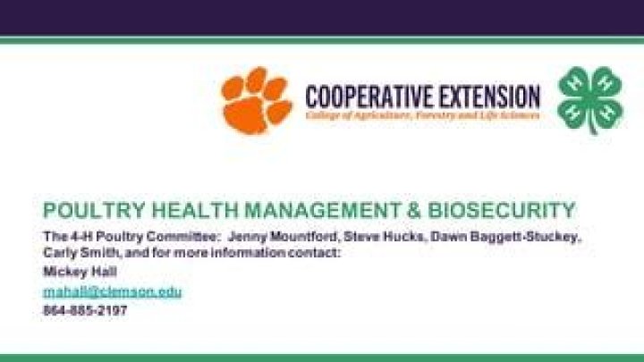 Poultry Health Management PDF: Essential Guide for Healthy Flocks