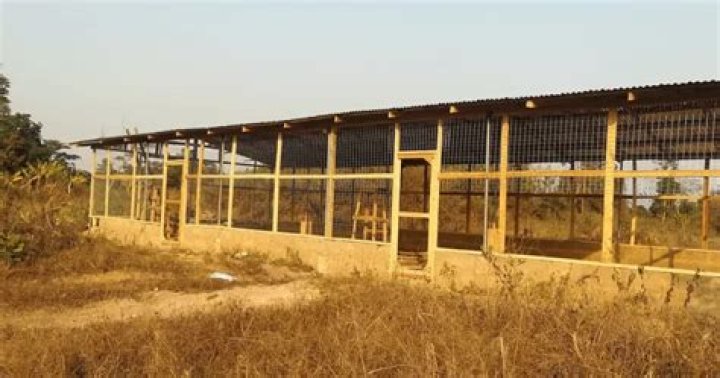 Poultry House Plans for 1000 Chickens PDF – Complete Design Guide