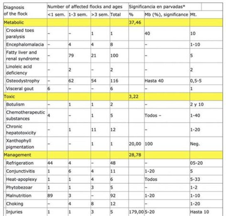 Essential Poultry Medicine List PDF for Healthy Flocks