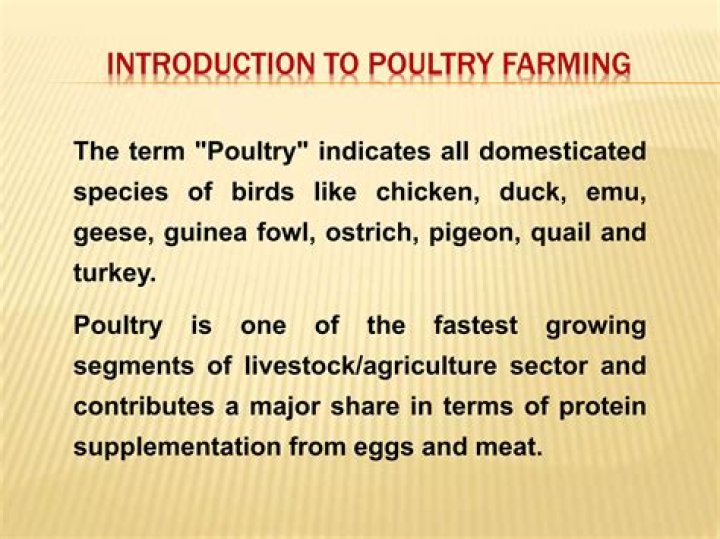 Poultry Production and Management in Ethiopia: A Comprehensive PDF Guide