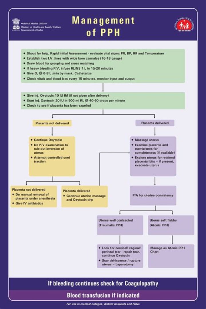 Essential PPH Management Protocol PDF for Safe Handling