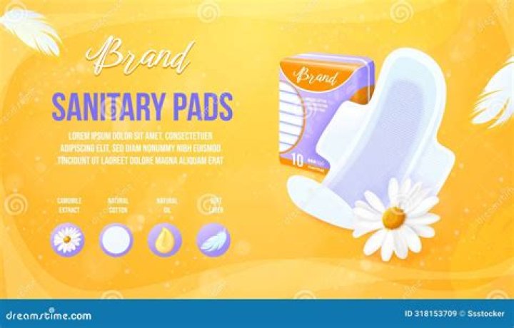 Comprehensive PPT on Sanitary Pads Business Plan PDF – Launch Fast & Profitable