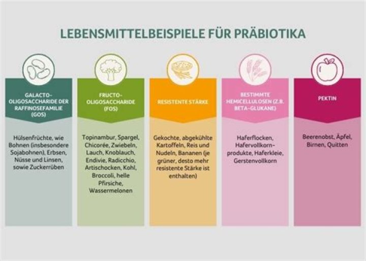 Prabiotische Lebensmittel Liste PDF – Die Beste Übersicht für Darmgesundheit