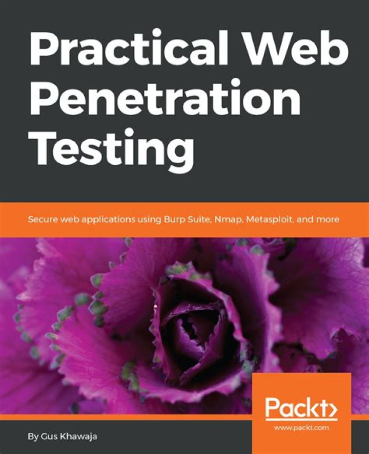 Practical Web Penetration Testing PDF: Test Your Skills Safely