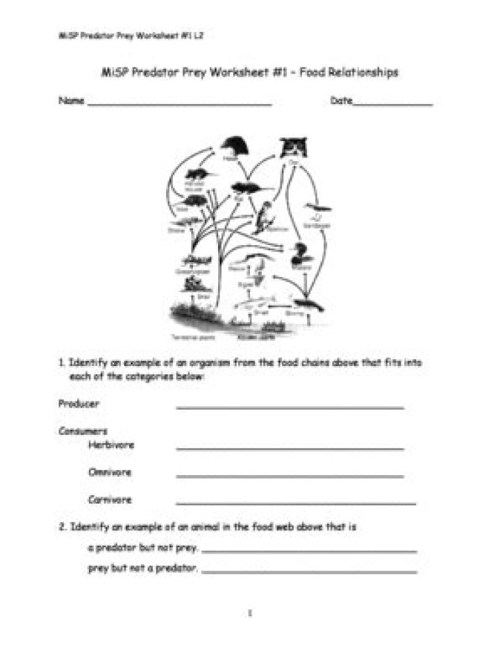 Free Predator-Prey Relationship Worksheet PDF – Study Ecology & Survival Dynamics