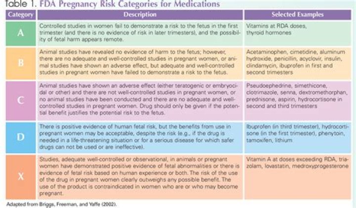 Pregnancy Category Drugs List PDF: Safe Use Guidelines & Safety Information