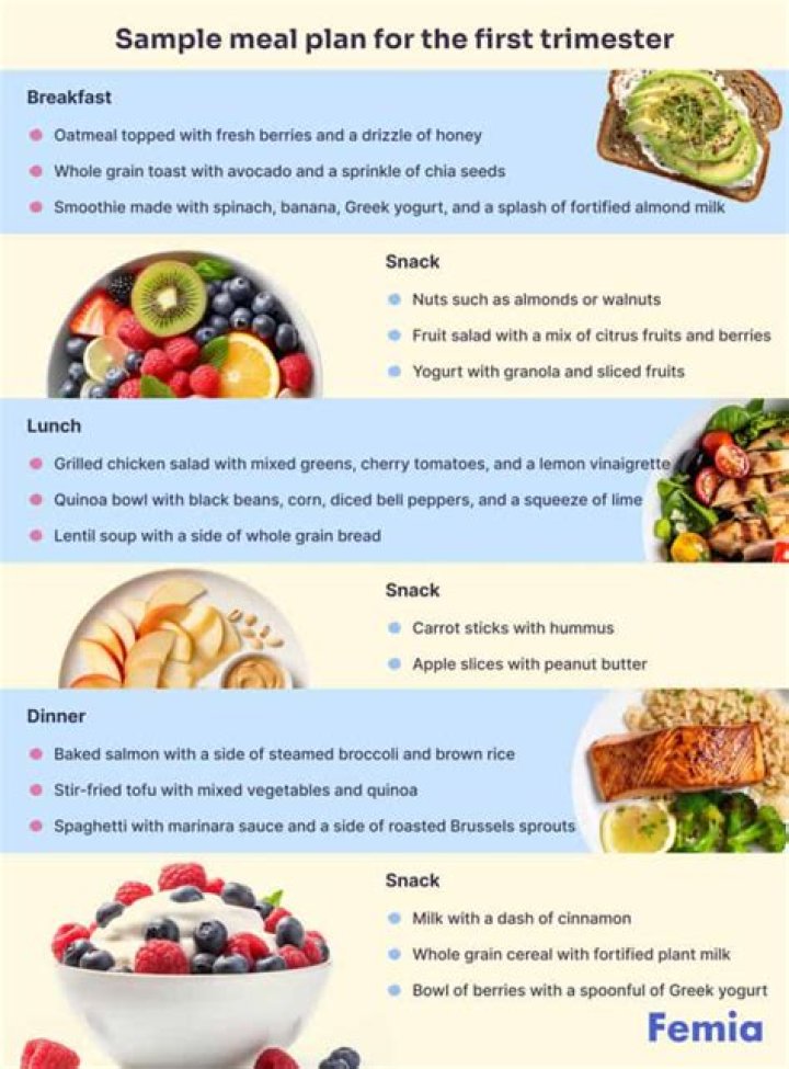 Pregnancy Veg Diet Plan for First Trimester – Essential PDF Guide