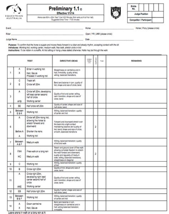 Prelim 1 Dressage Test PDF – Download Training Guide