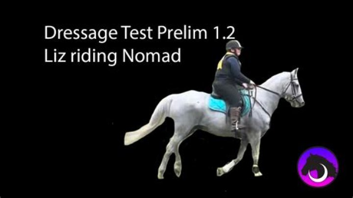 Prelim 12 Dressage Test PDF – Download Official Exam Guide