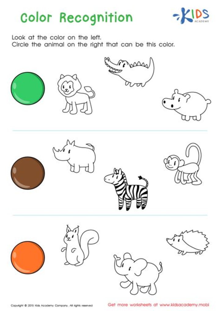Preschool Color Recognition Worksheets PDF – Free Printable Activities