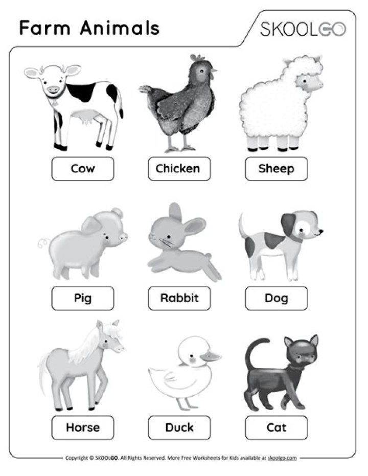 Preschool Farm Animals Lesson Plan PDF – Fun & Engaging Activities