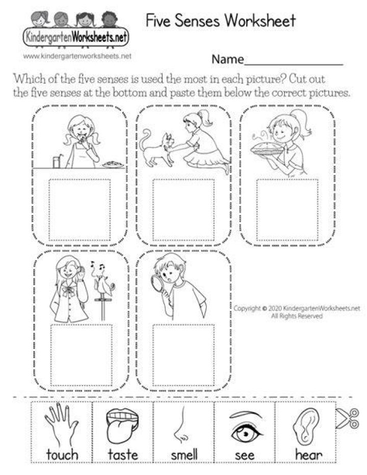 Printable Preschool Science Worksheets PDF for Early Learners