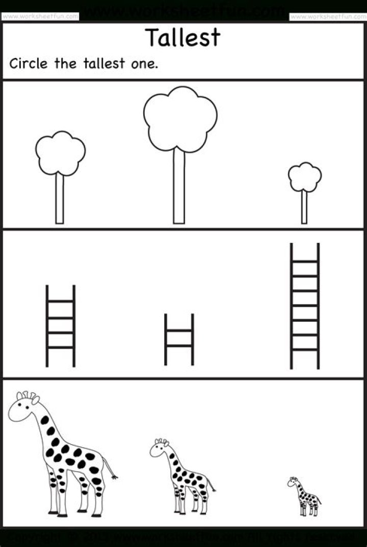 Free Preschool Worksheets PDF – Instant Download for Early Learning