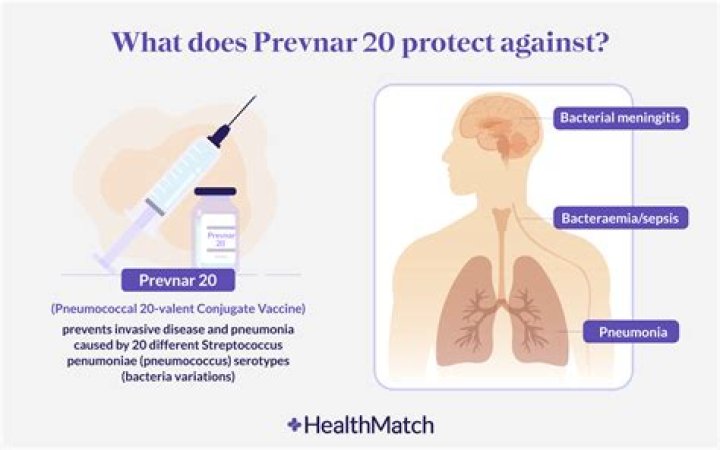 Prevnar 20 Patient Information Sheet PDF – Download Complete Guide