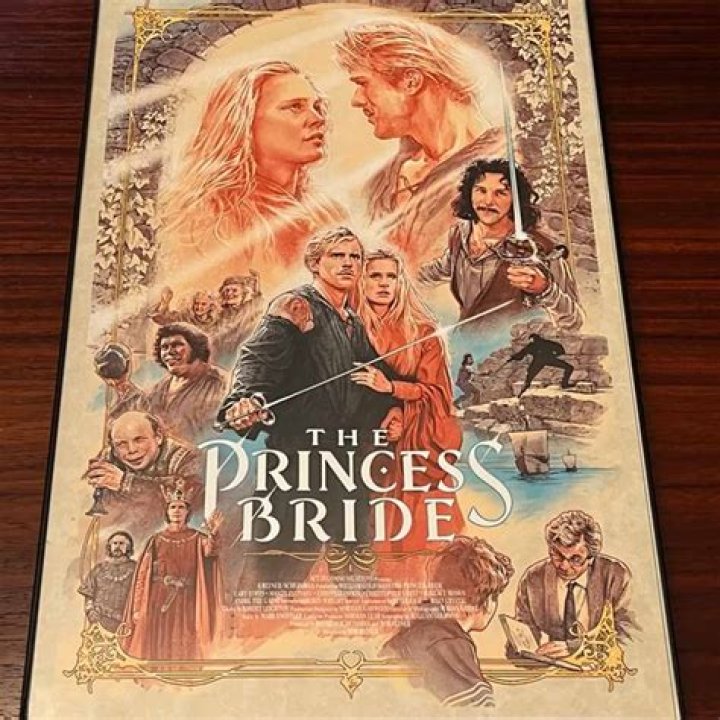 Princess Bride Movie Questions PDF: Expert Analysis & Discussion Guide