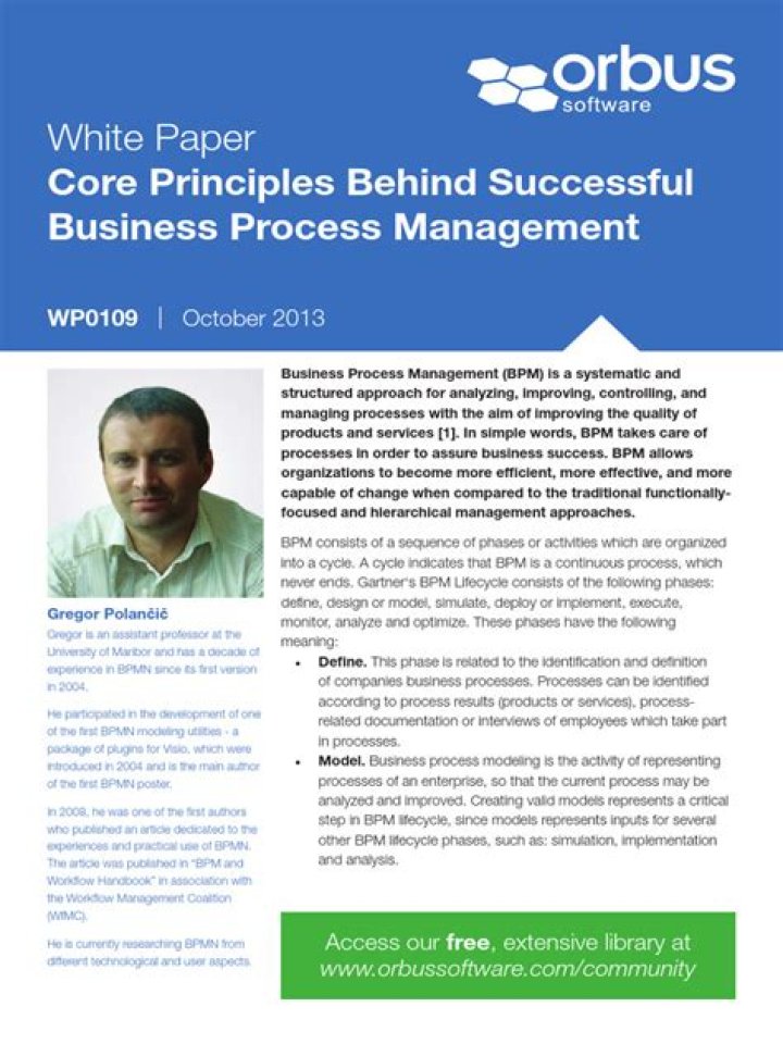 Mastering Business Process Management: Core Principles PDF Guide