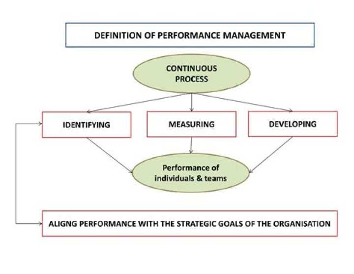 Mastering Performance Management: Essential Principles PDF