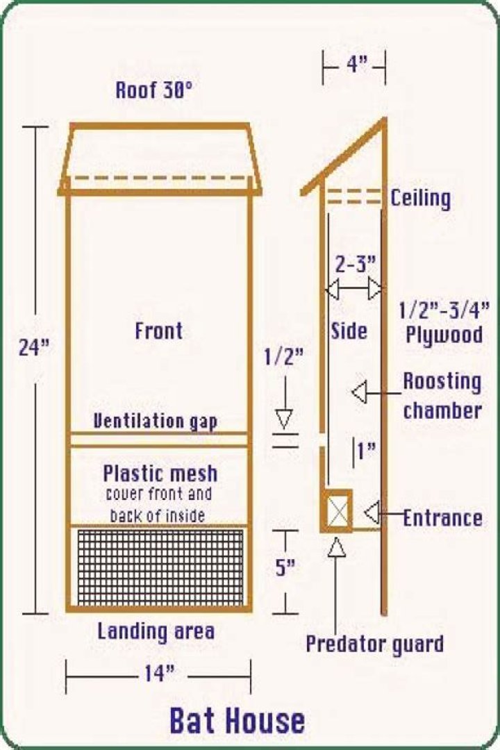 Printable Bat House Plans PDF – Easy DIY Guide for Homeowners
