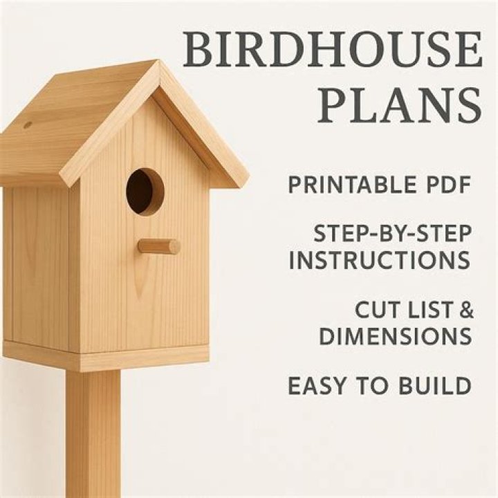 Printable Birdhouse Plans PDF – Free Download & Build Your Own Birdhouse