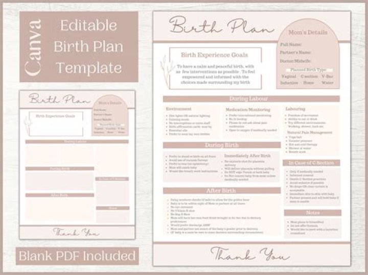 Printable Birth Plan PDF – Ready-to-Print Labor & Delivery Checklist